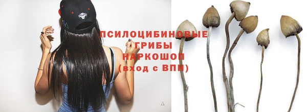 mix Медногорск
