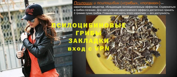 spice Медвежьегорск