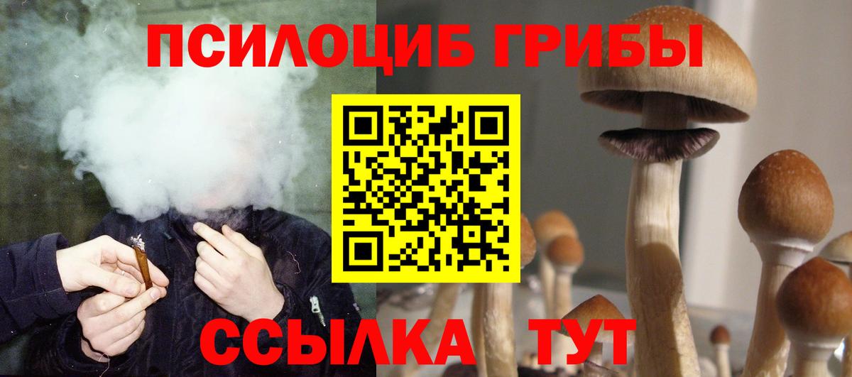 Псилоцибиновые грибы прущие грибы  Псилоцибиновые грибы MAGIC MUSHROOMS  Вход с VPN  Геленджик 