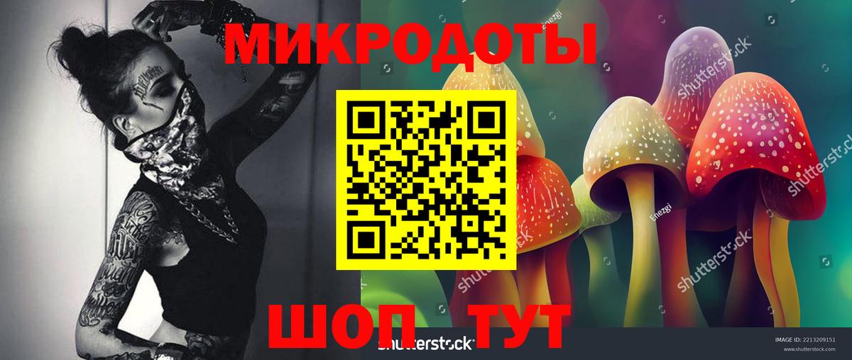 Галлюциногенные грибы прущие грибы Геленджик